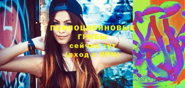 не бодяженный Богданович