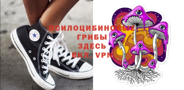 2c-b Богородицк